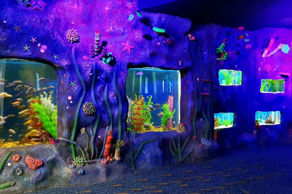 Entdecke Kasachstan - Oceanarium in Astana