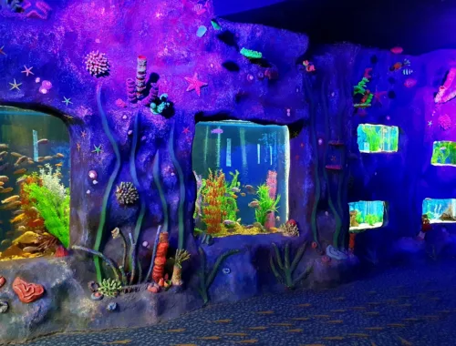 Entdecke Kasachstan - Oceanarium in Astana