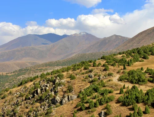 Entdecke Kasachstan - Naturreservat Aksu-Zhabagly