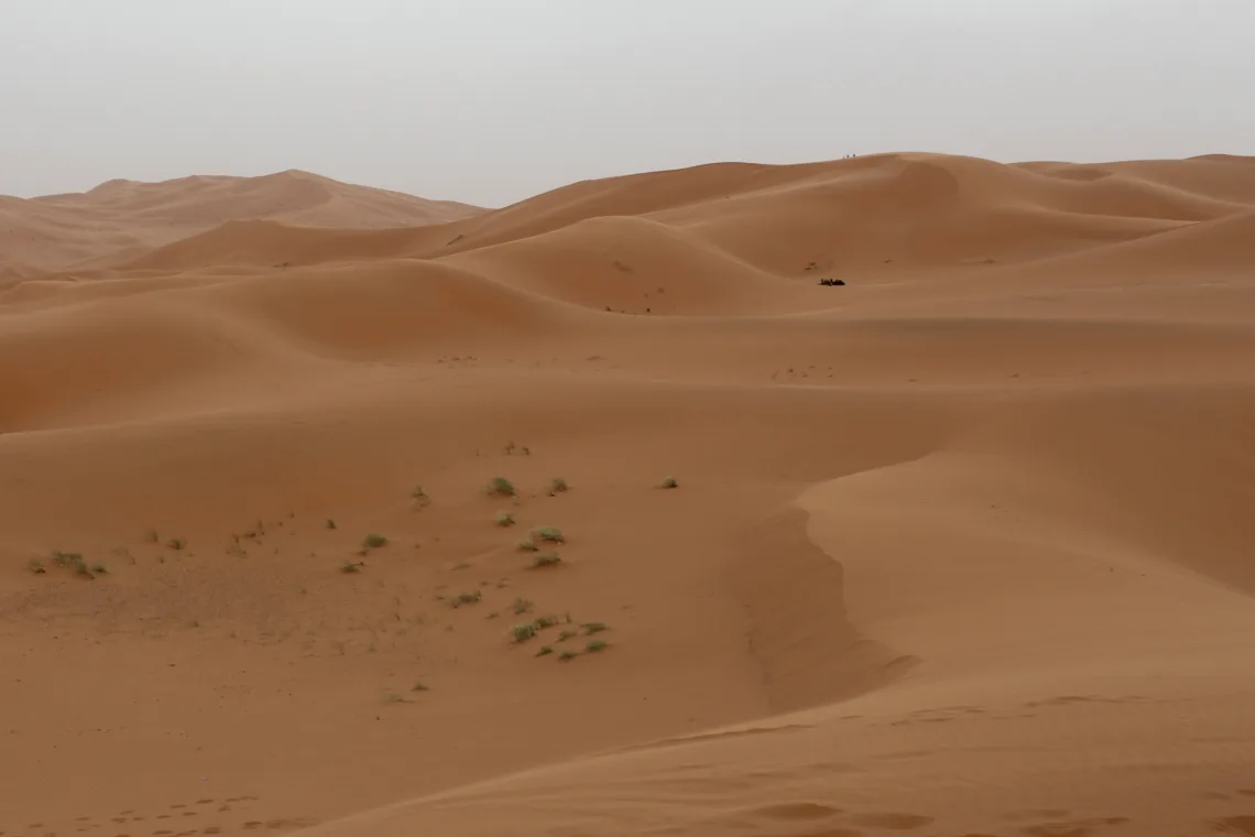 Entdecke Kasachstan - Sanddünenfeld von Senek