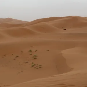 Entdecke Kasachstan - Sanddünenfeld von Senek