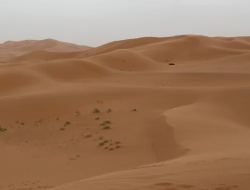 Entdecke Kasachstan - Sanddünenfeld von Senek