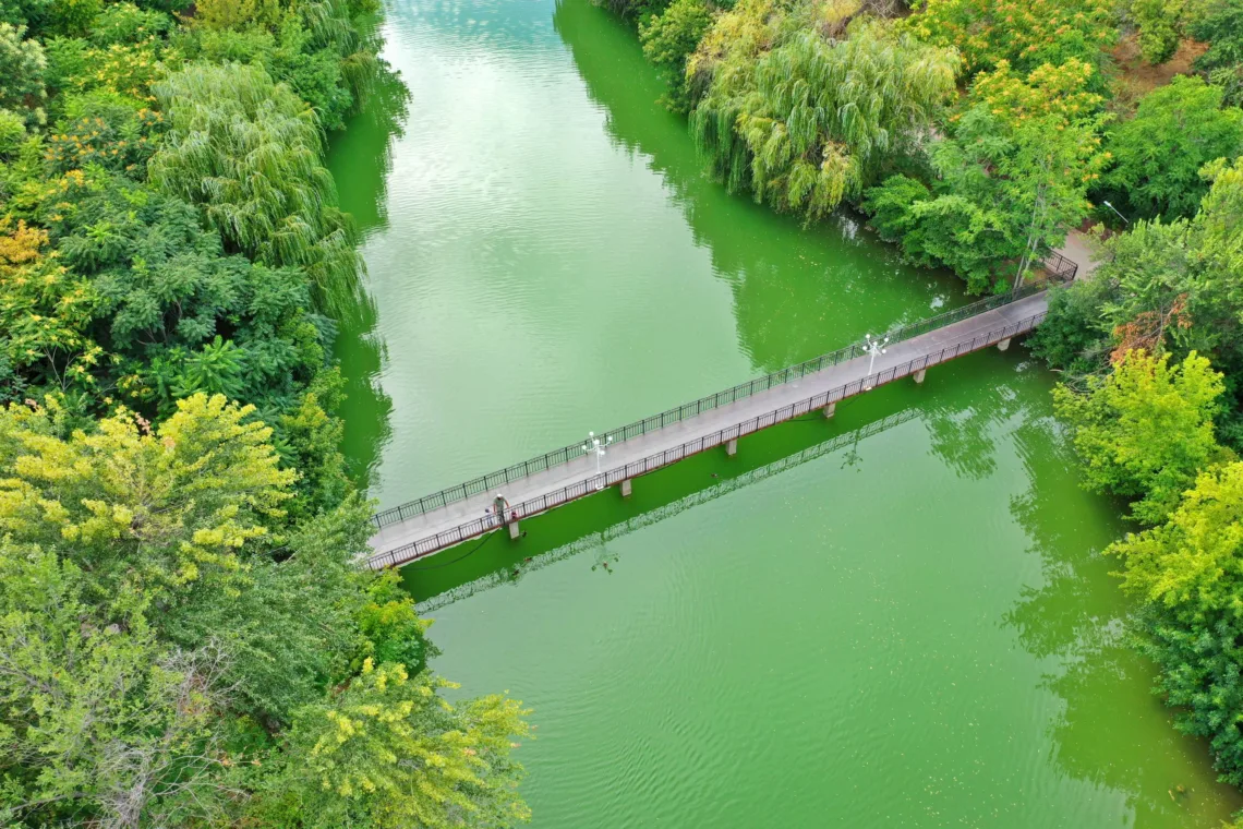 Entdecke Kasachstan - Dendropark in Schymkent