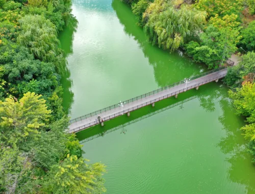 Entdecke Kasachstan - Dendropark in Schymkent