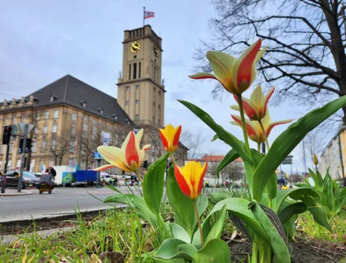 Entdecke Kasachstan - Frühlingsfest Nauryz im Rathaus Berlin-Schöneberg
