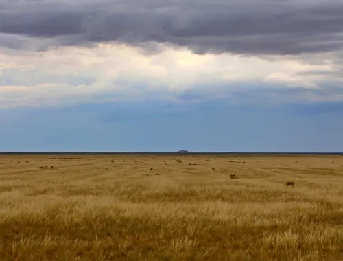 Entdecke Kasachstan - Felsen Burytastagan