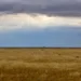 Entdecke Kasachstan - Felsen Burytastagan