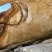 Entdecke Kasachstan - Ak-Baur-Höhle